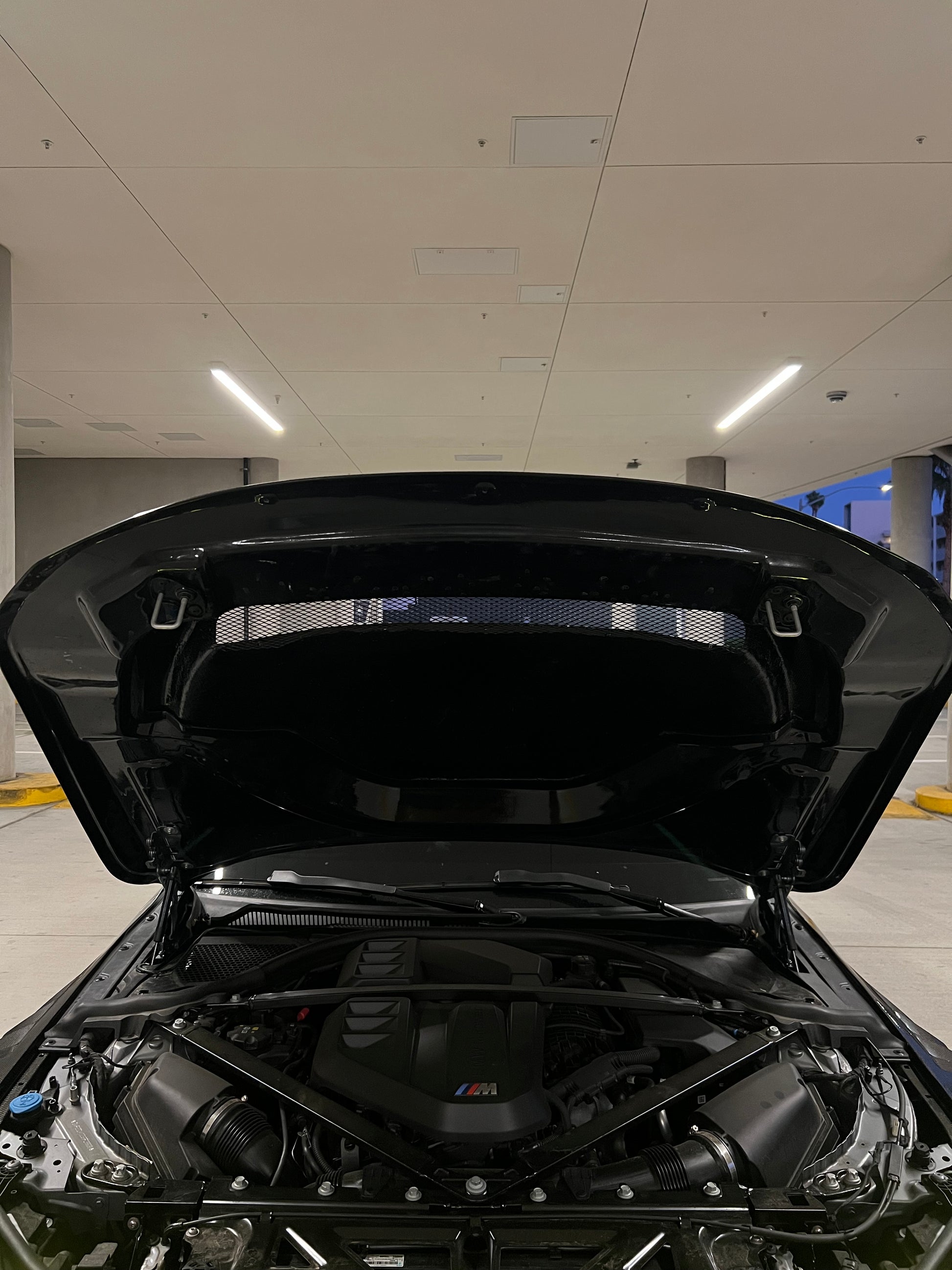 Carbon Hood for G87 M2