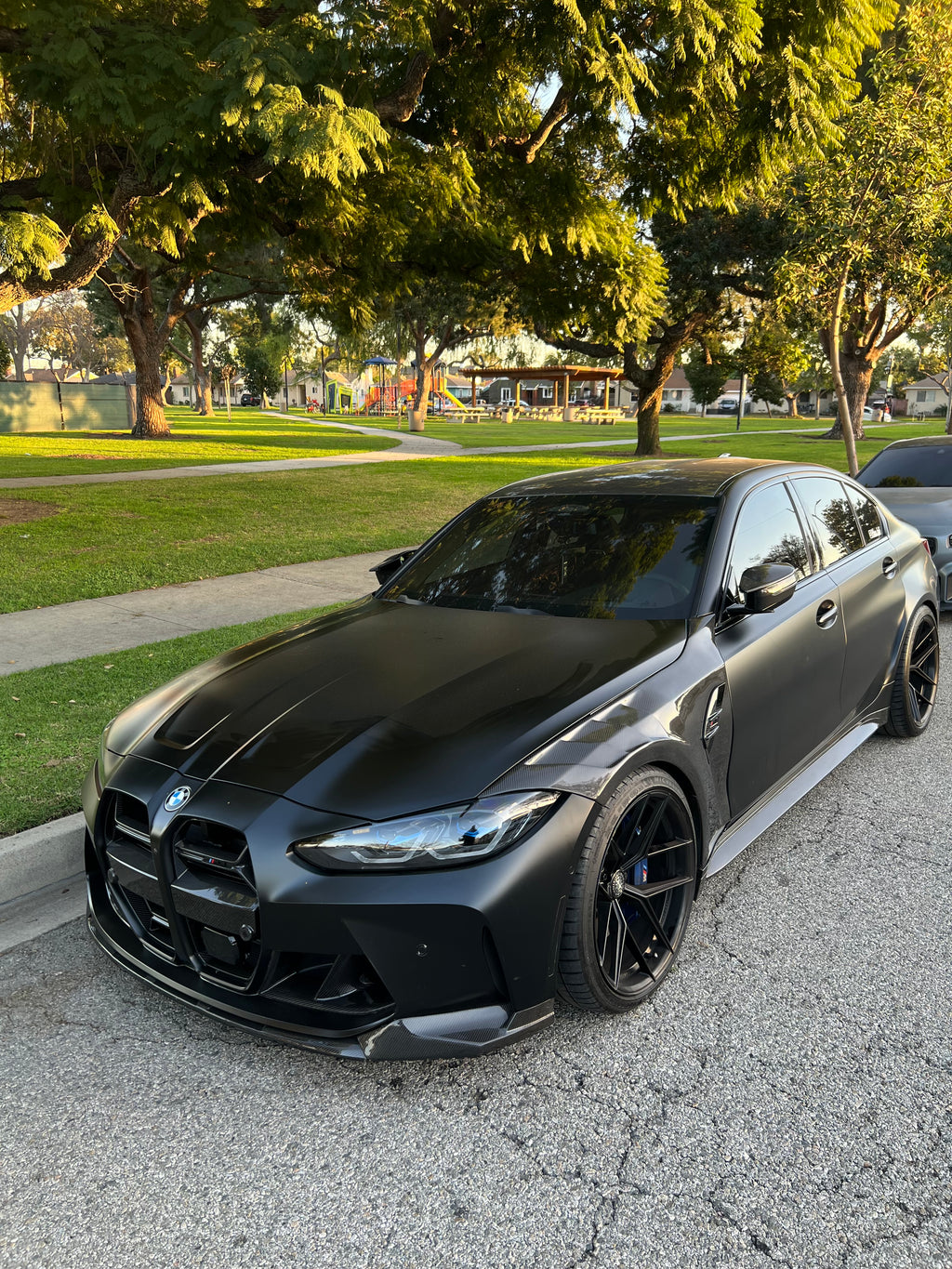 G8X M3/M4 Carbon Fenders
